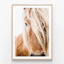 horse framed art - Google Search