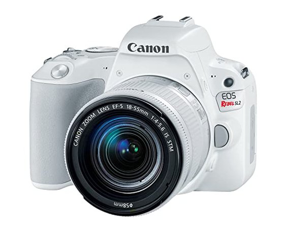 Canon EOS Rebel SL2 DSLR Camera with EF-S 18-55mm STM Lens