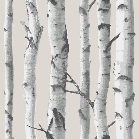 NuWallpaper Birch Tree Peel & Stick Wallpaper | The Home Depot Canada