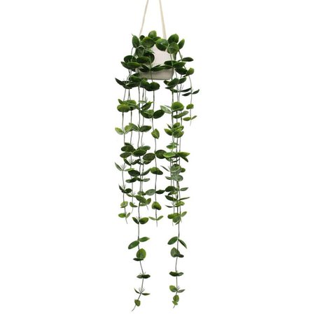 allen + roth 44-in White Indoor Hanging Artificial String Of Nickels Plants in the Artificial Plants & Flowers department at Lowes.com