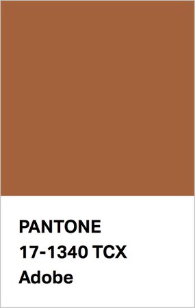 PANTONE-17-1340-Adobe.jpg (770×1216)