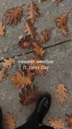 sweater weather