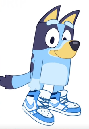 bluey with swag