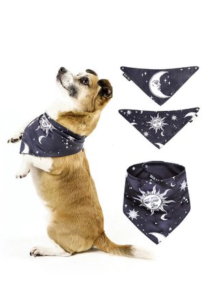 Celestial Pet Bandana for Dog or Cat by The Rogue + The Wolf