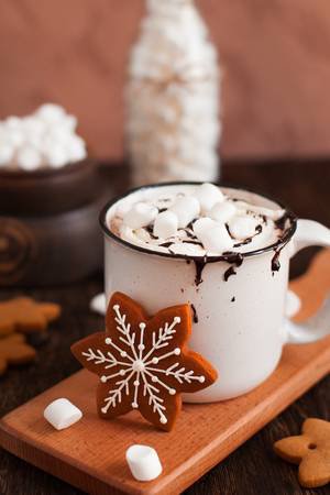 Mug Of Hot Chocolate Or Cocoa With Christmas Cookies And Marsmallow.. Stock Photo, Picture And Royalty Free Image. Image 90253170.