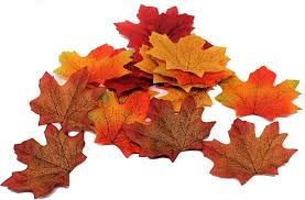 autumn leaves - Google Search