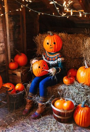 The Pumpkin Patch Sweater (Women's) – Kiel James Patrick