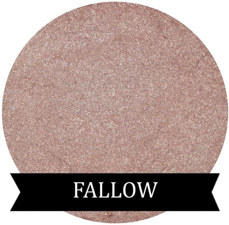 FALLOW Nude Iridescent Pink Eyeshadow | Etsy