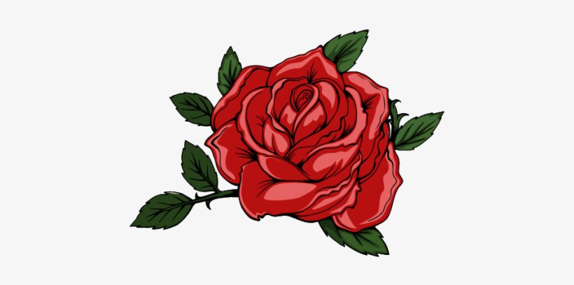 Aesthetic Rose