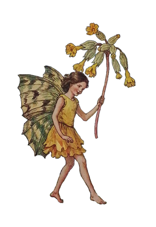 aesthetic fairy png
