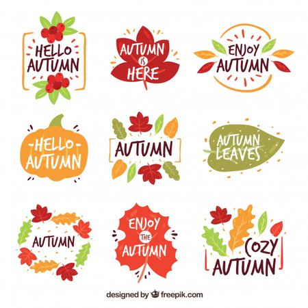 Hello autumn badge collection with leaves Vector | Free Download
