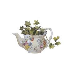 teapot planter