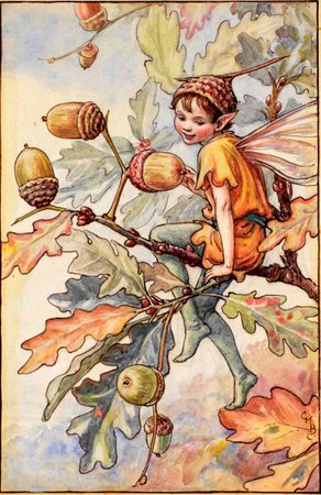 The Acorn Fairy - Flower Fairies