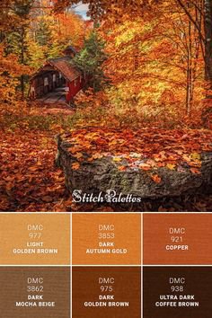 Fall Autumn Orange Brown Color Palette