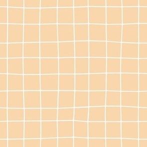 orange grid background
