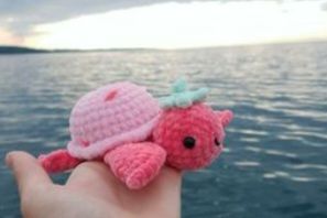strawberry turtle crochet