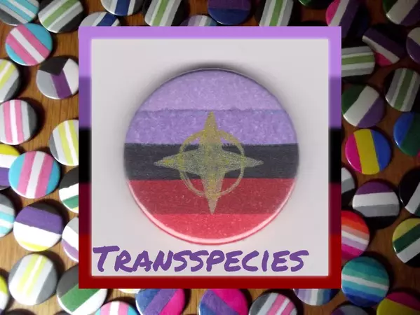 Transspecies Pride 1 Button Badge - Etsy | CowboyYeehaww