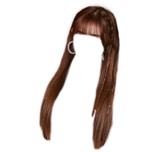 Straight Brown Hair with little braid and bangs