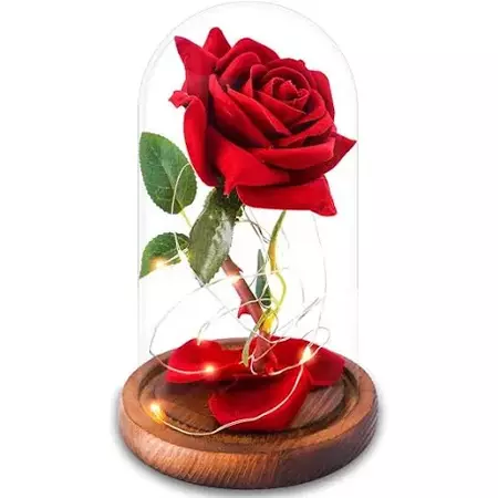 beauty and the beast rose - Google Search