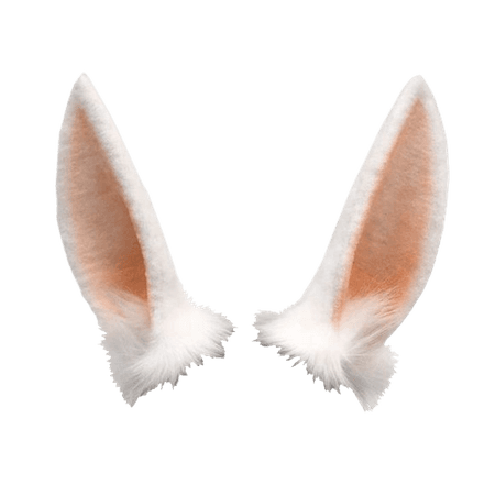 @lollialand- pastel orange bunny ears