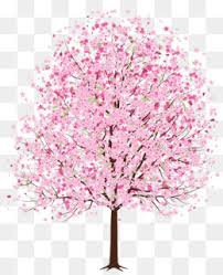 cherry blossom tree png - Google Search