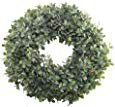 Amazon.com: NAHUAA Boxwood Wreath for Front Door Decor, 17 inches Artificial Greenery Wreath Farmhouse Garland Home Office Housewarming Gift Greenery Decorations: Home & Kitchen