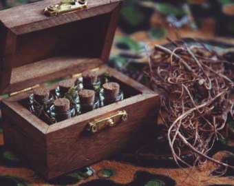 Herb Witch Box Mini Herbalism Witchy Pagan