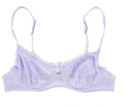 Wild Lovers Cherry Mesh Lilac Cupped Bra