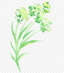 green flower watercolor - Google Search