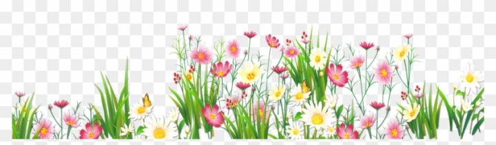 Free: Flowers And Grass Png Picture Clipart - Spring Flowers Transparent Background - nohat.cc