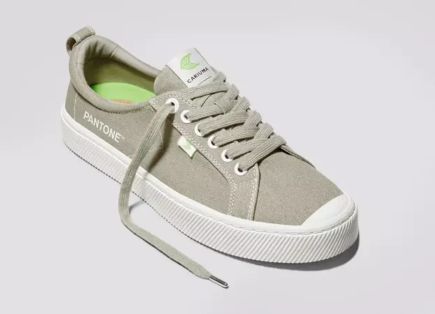 canvas low tops