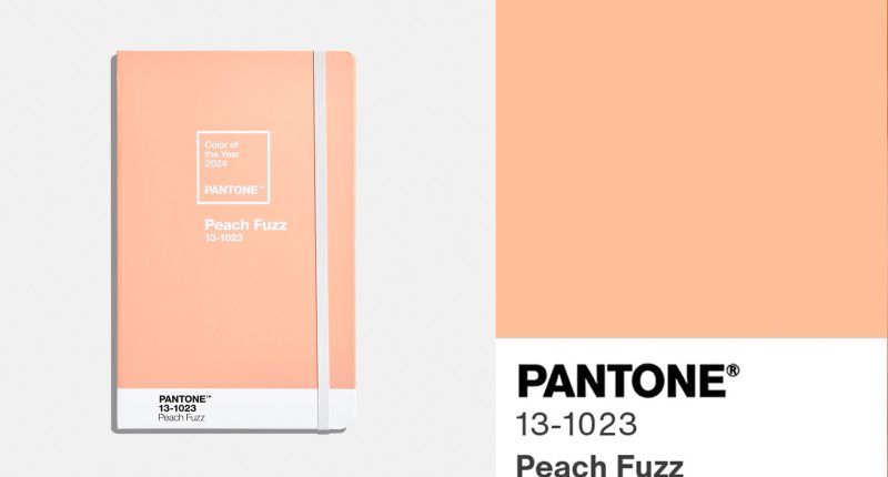 What is the Pantone color of the year? Peach Fuzz named color of the year 2024; What is PANTONE 13-1023 Peach Fuzz? - 247 News Around The World