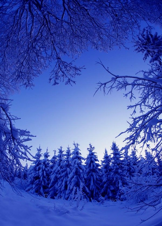 blue winter
