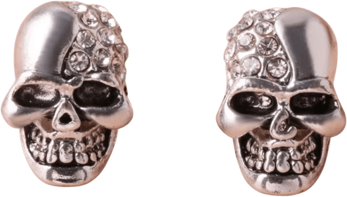 Silver Skull Earings