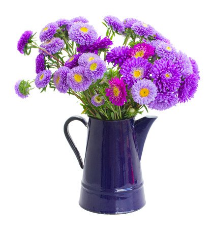 Bouquet Of Violet Aster Flowers In Vase Isolated On White Background Stock Photo, Picture And Royalty Free Image. Image 22230254.