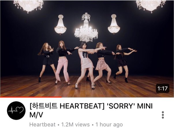Heartbeat 'Sorry' Mini M/V
