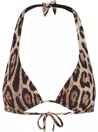Shop Dolce & Gabbana leopard-print halterneck bikini top with Express Delivery - FARFETCH