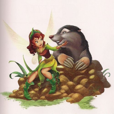 Disney Fairies Illustration