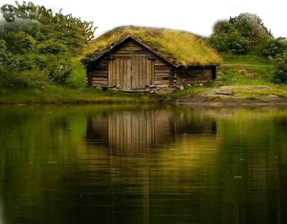 swamp hut