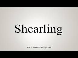 shearling word - Google Search