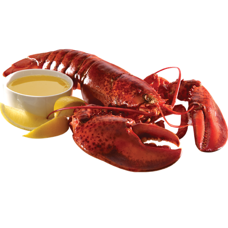 Lobster HD PNG | Picpng