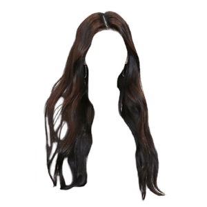 Dark Brown Hair PNG Black