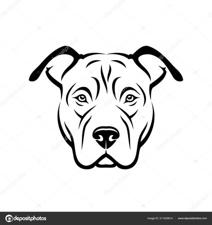 Animal Dog Pitbull Drawing Art