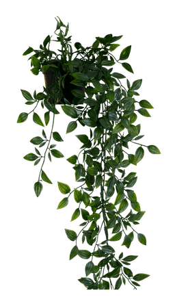 5376865-hanging-plant-png-stock-by-dlr-coverdesigns-on-deviantart-hanging-plant-png-678_1178_preview.png (678×1178)