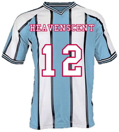 Heavenscent Tour Shirt 3