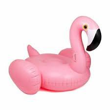 flamingo pool float - Google Search