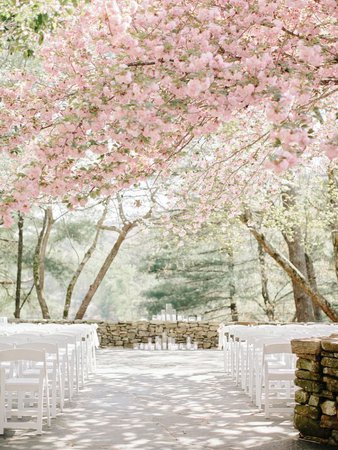 cherry blossom japan wedding - Google Search