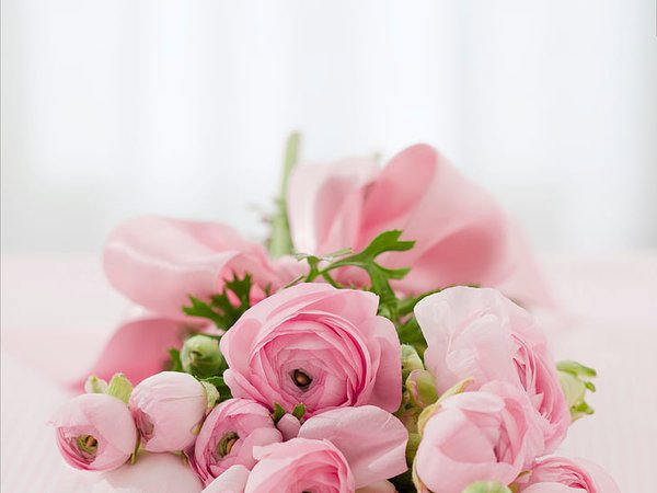 Royalty free photo: pink peonies bouquet closeup photo, roses, congratulations, arrangement, flowers, nature, summer | Nicepik