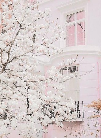 white pink aesthetic