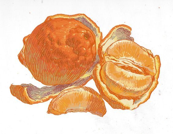orange pen illustration